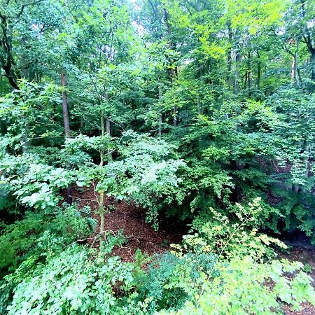 Forest - 23 Marca Sopot By Grand Apartments Екстериор снимка