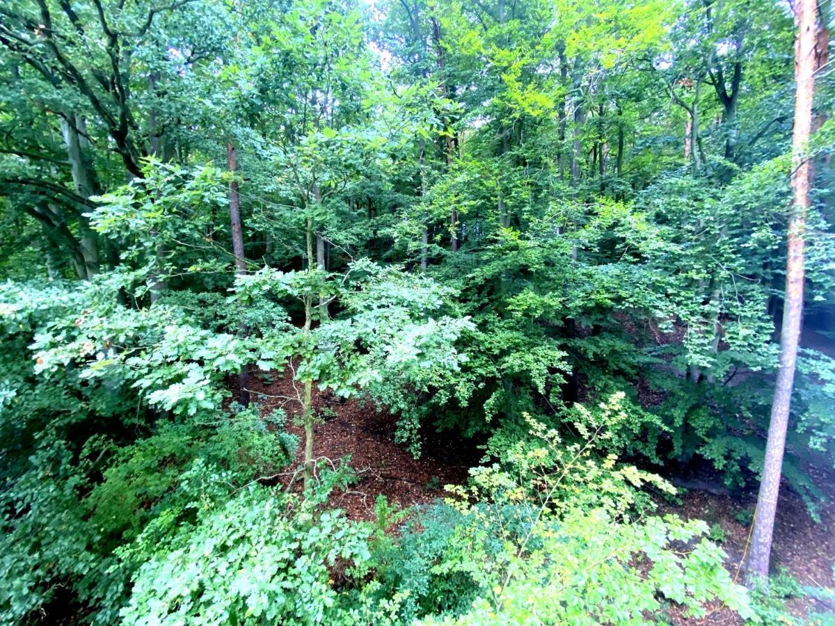 Forest - 23 Marca Sopot By Grand Apartments Екстериор снимка